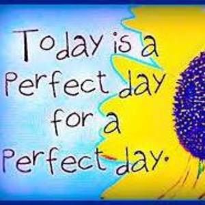 Meet your Posher, Mimi